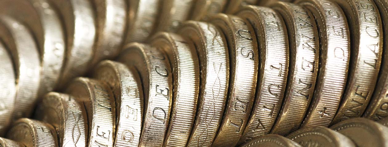 Pound Coin