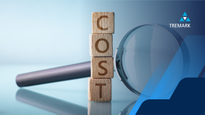how much does a process server cost