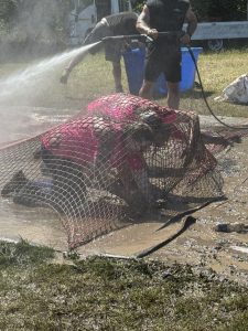 pretty muddy race for life
