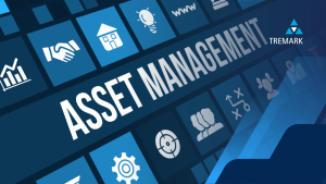 asset reports professional