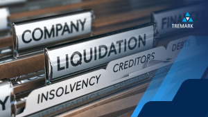 insolvency legal support