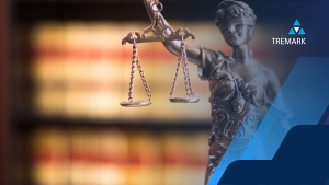 professional legal support services