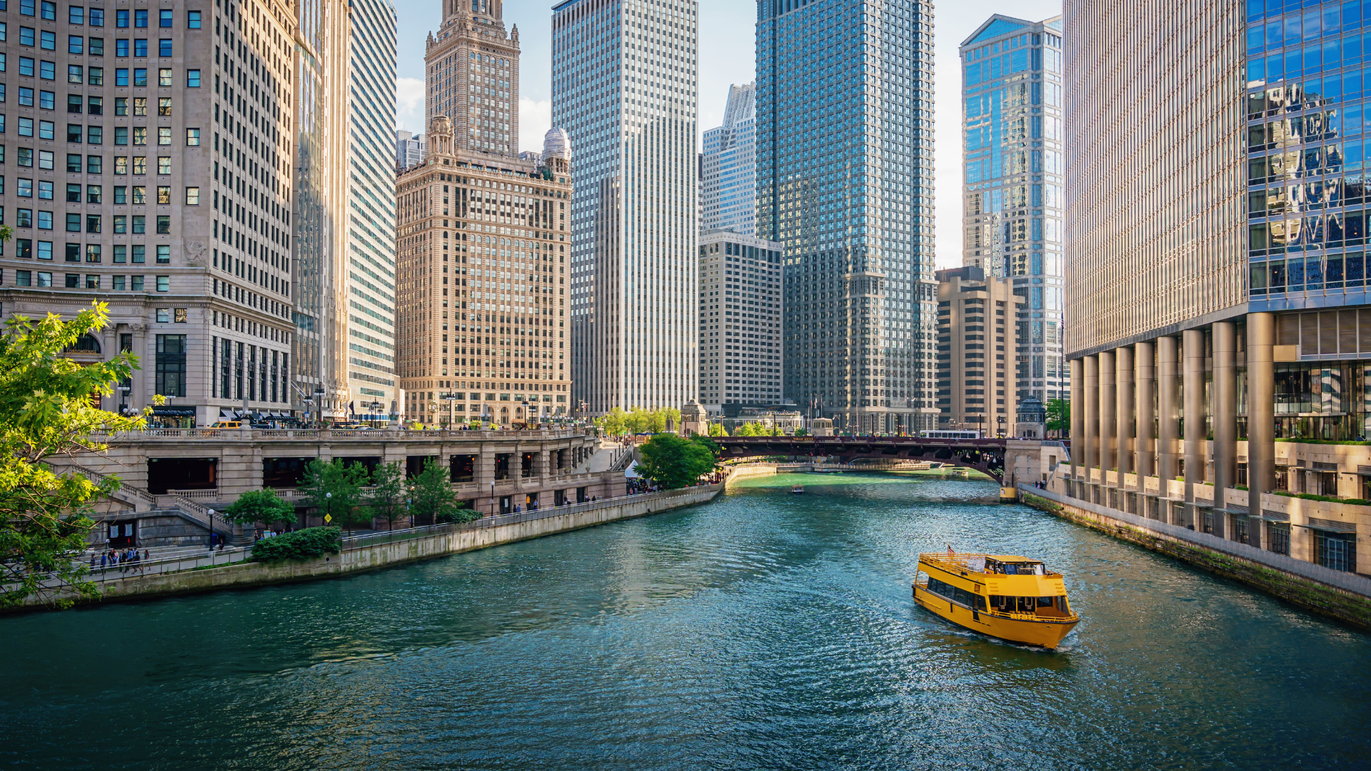 wad chicago