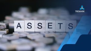 asset searches