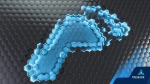 digital footprint