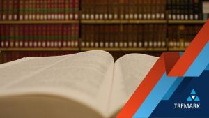 litigation funding